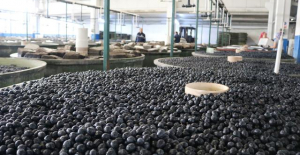 Marmarabirlik, üreticiye 42 milyon 600 bin TL prim desteği verecek